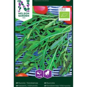Rucola / Sandsenap