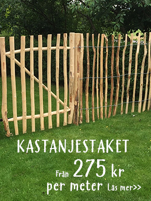 start_kastanjestaketet_311x413