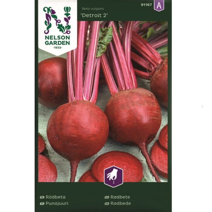 Rödbeta
