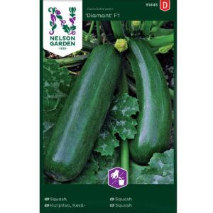 Squash / Sommarpumpa